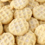 Mini Sugar Cookies stored in an airtight container for meal prep